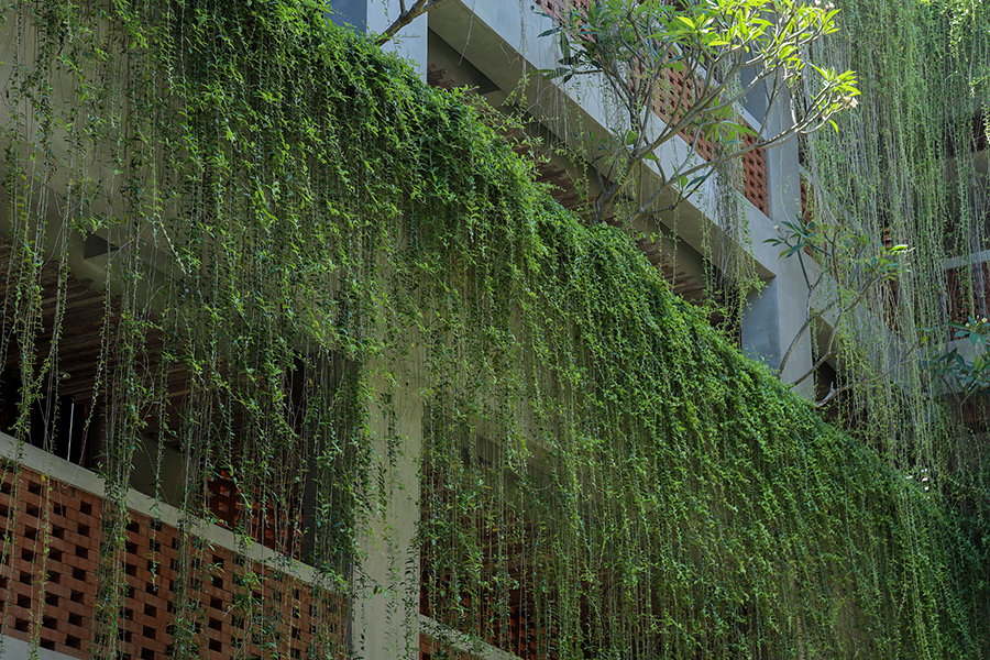 Zielona ściana z roślin