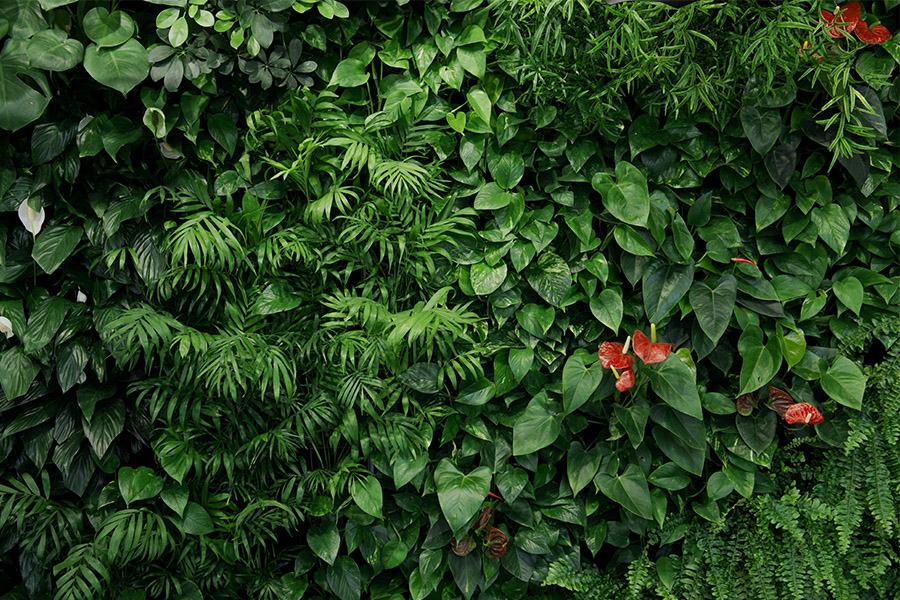 Ściana z roślin sztucznych