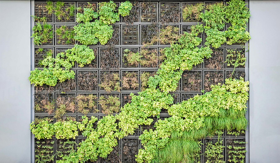 Ściana  z żywych roślin w donicach