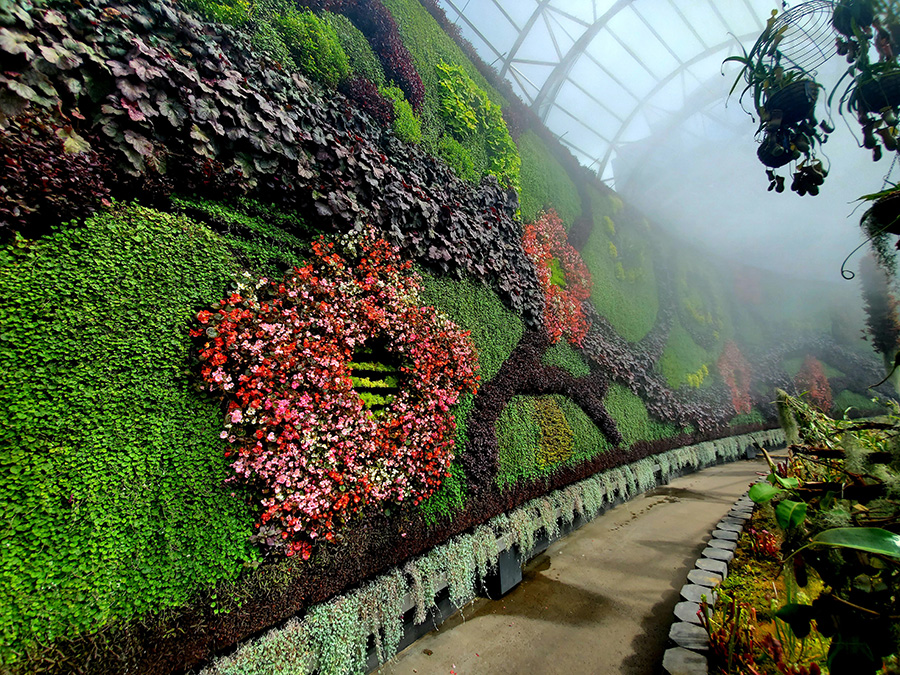 Zielona ściana z kwiatami zewnętrzna