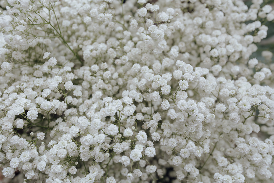 Białe kwiaty ślubne