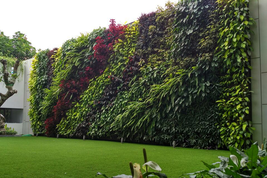 Ściana zielona na zewnątrz