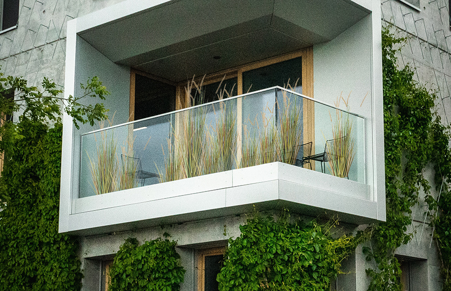 Trawy ozdobne na balkonie