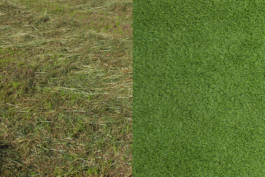 Żywa trawa vs sztuczna trawa