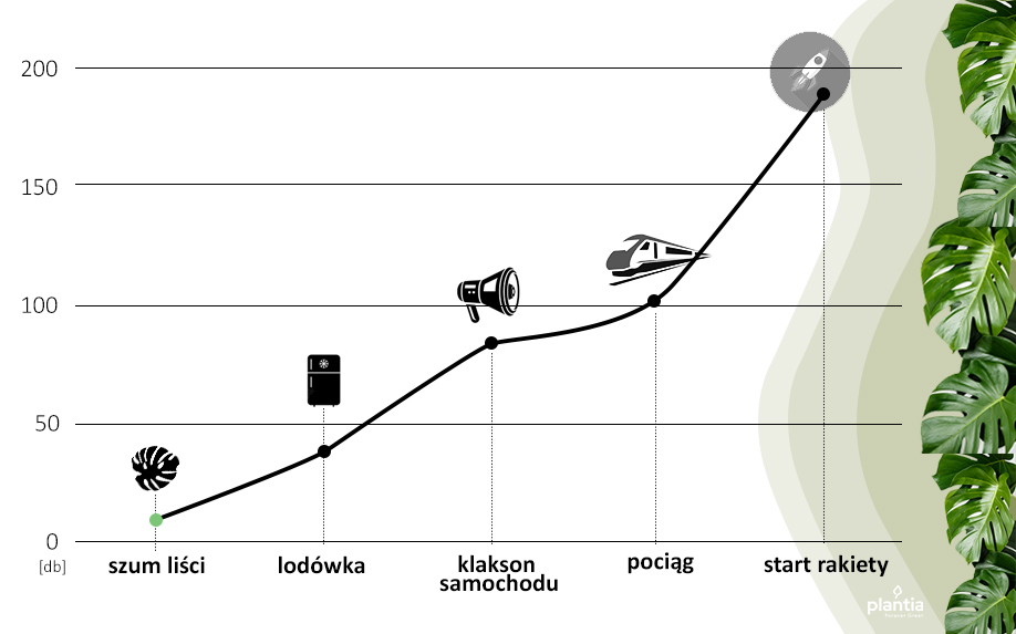 Tabela ogród wertykalny akustyka