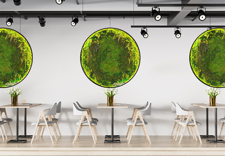 Zielone obrazy w restauracji