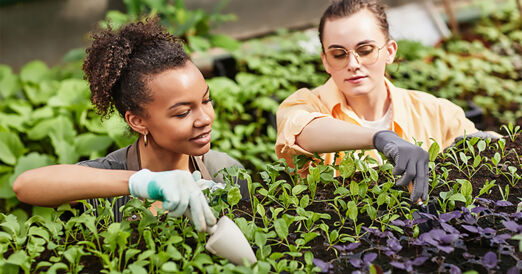 Kontrola ogrodu wertykalnego w Lublinie.