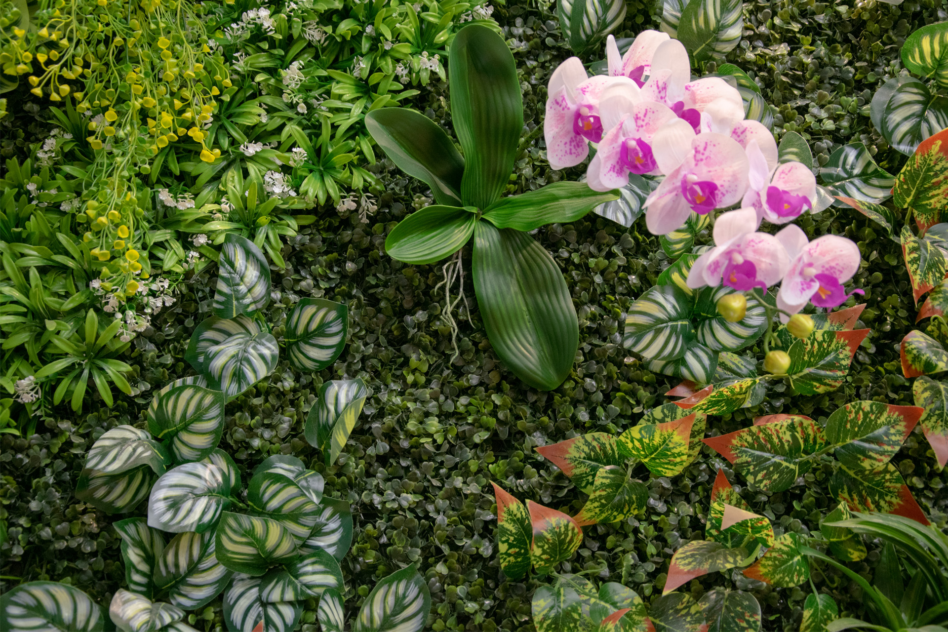 Ściana z kwiatami w domu – jak ją zorganizować?