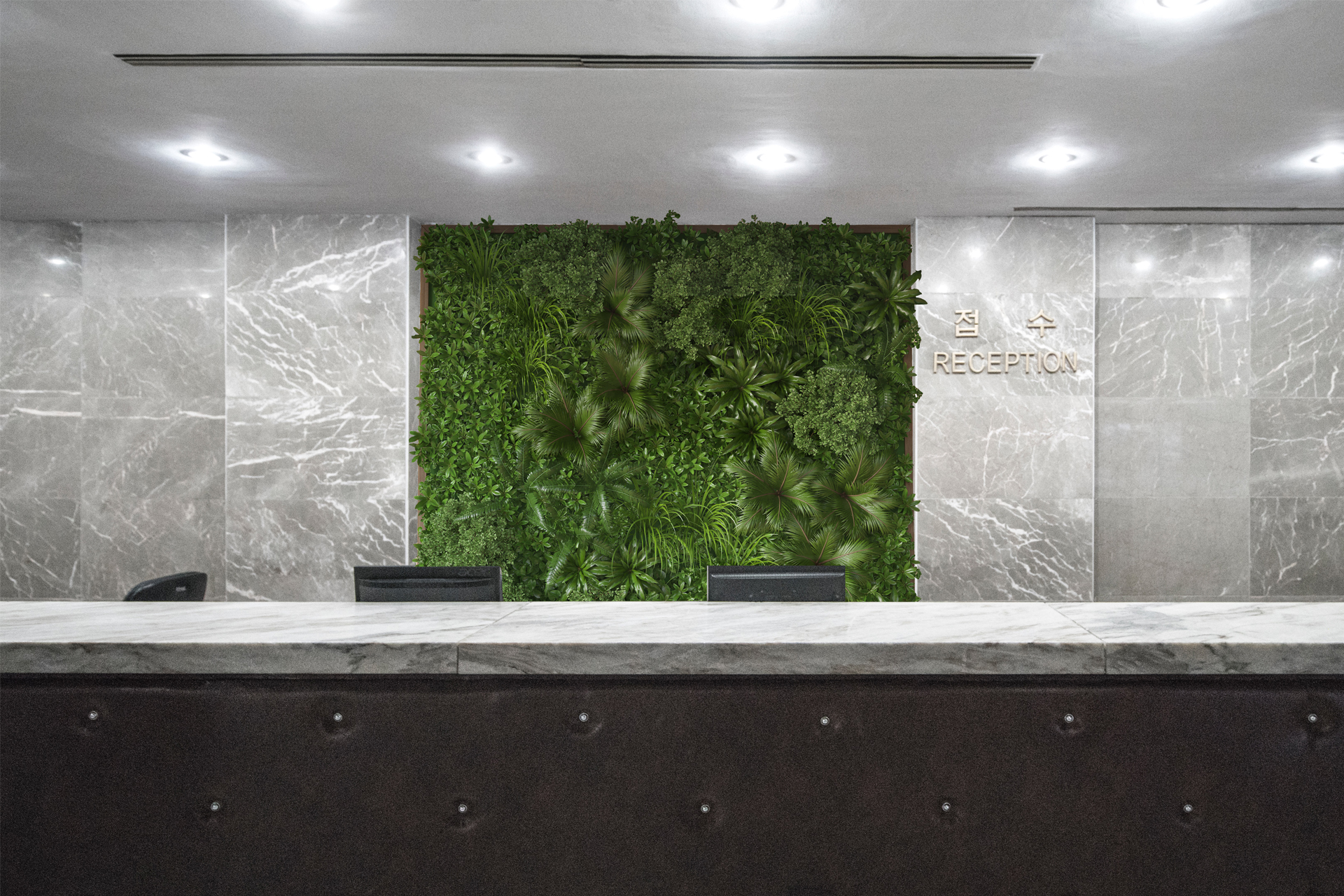 Biurowe panele roślinne na ścianę. Dowiedz się, dlaczego musisz je mieć!