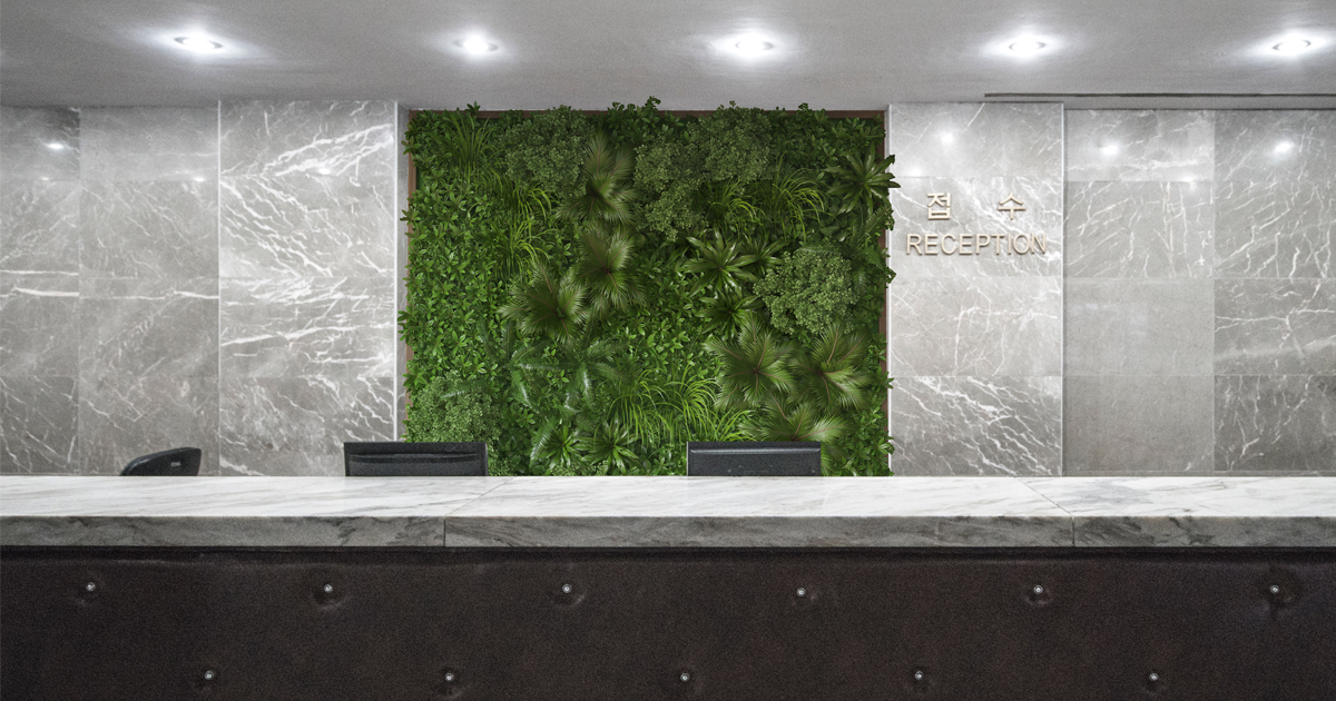 Biurowe panele roślinne na ścianę. Dowiedz się, dlaczego musisz je mieć!