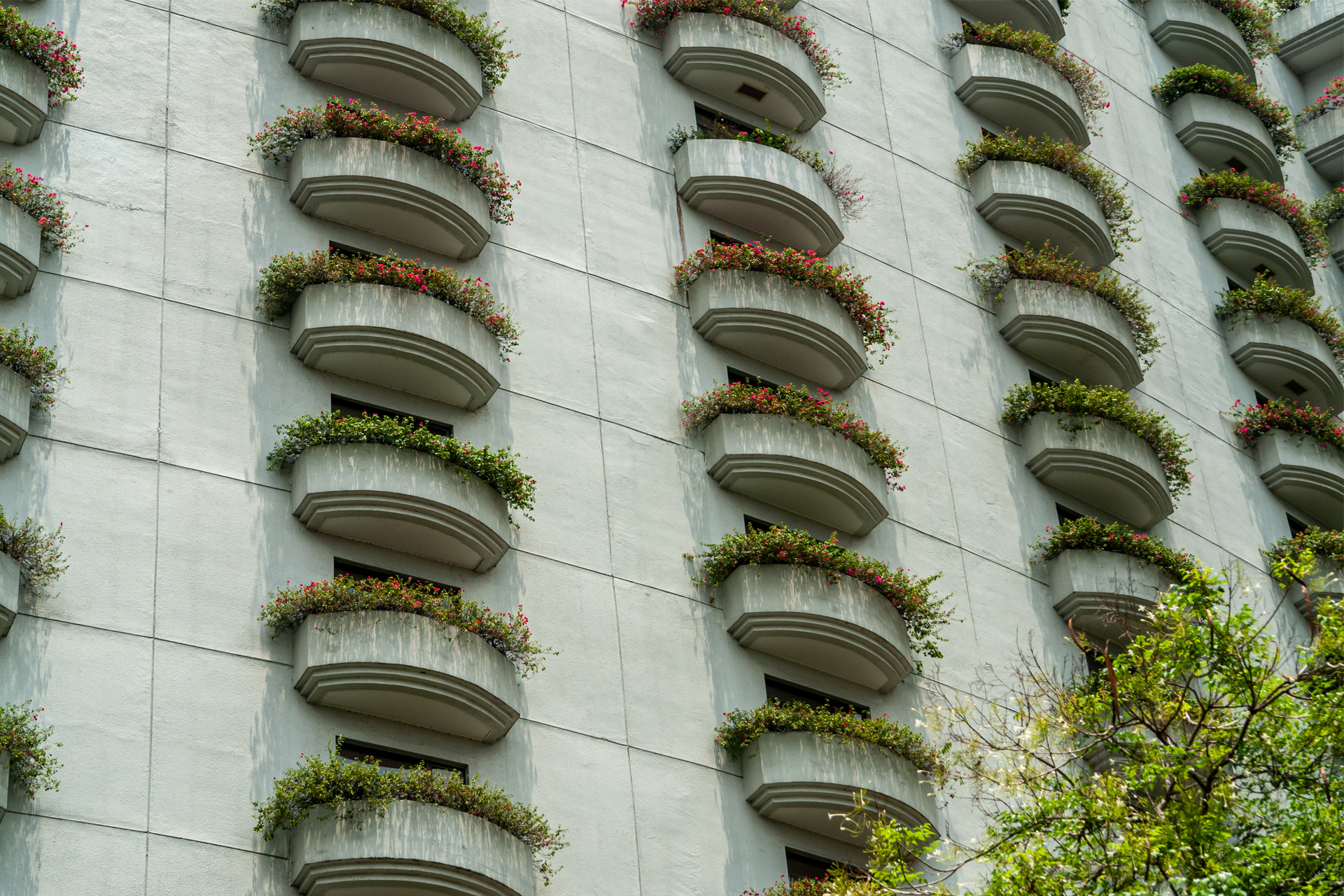 Czy ogród wertykalny na balkonie może dać Ci prywatność?