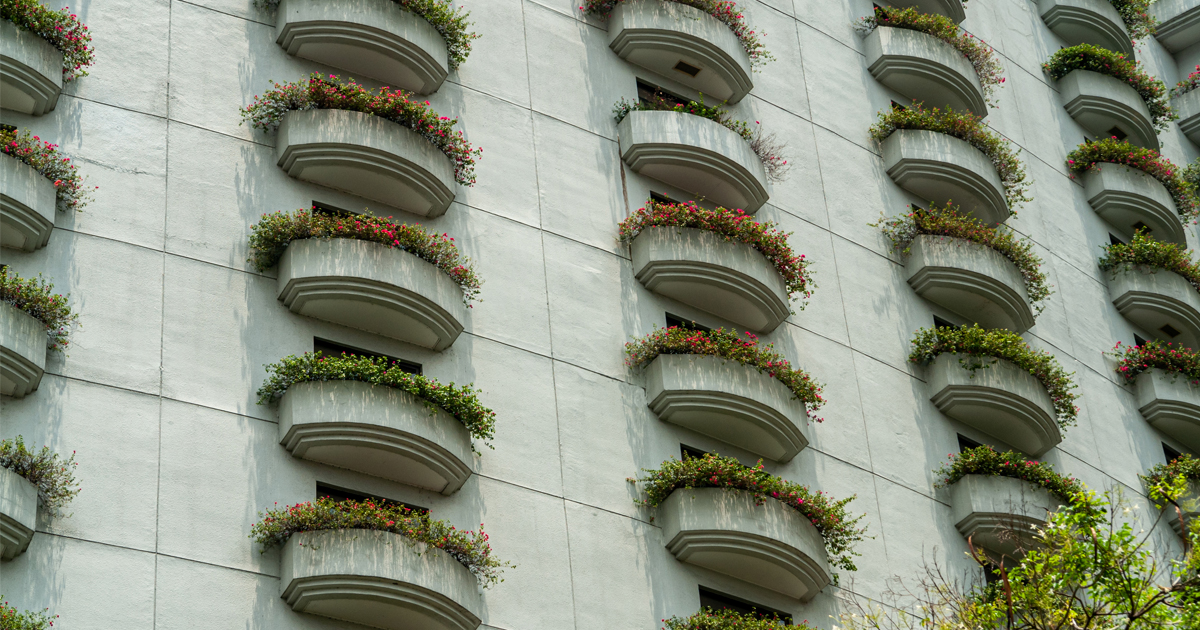 Czy ogród wertykalny na balkonie może dać Ci prywatność?