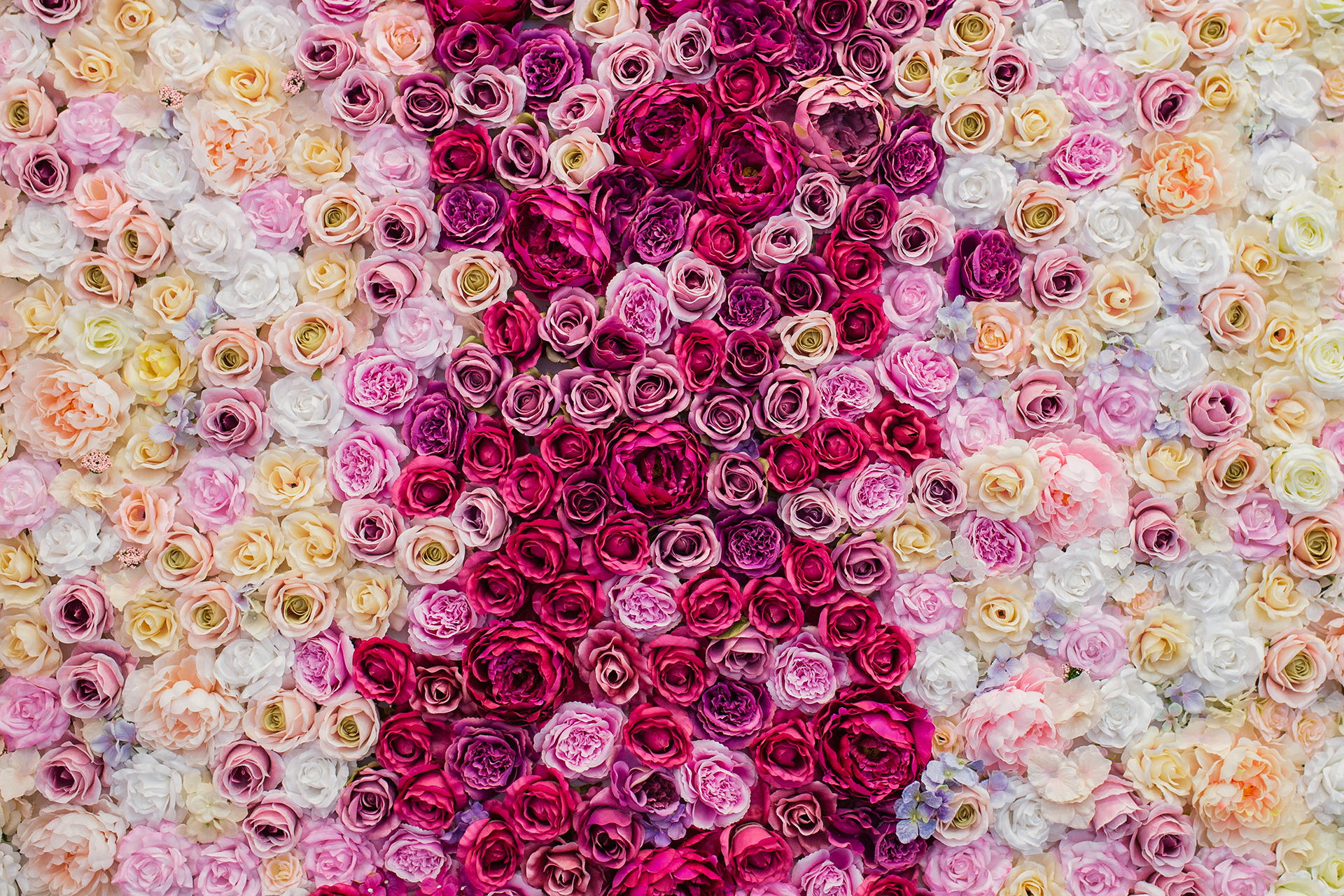 Ściana kwiatowa, która zawsze jest kolorowa – dla Ciebie!