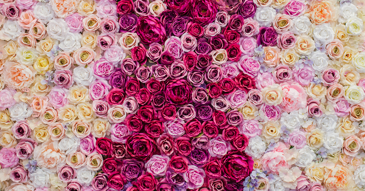 Ściana kwiatowa, która zawsze jest kolorowa – dla Ciebie!