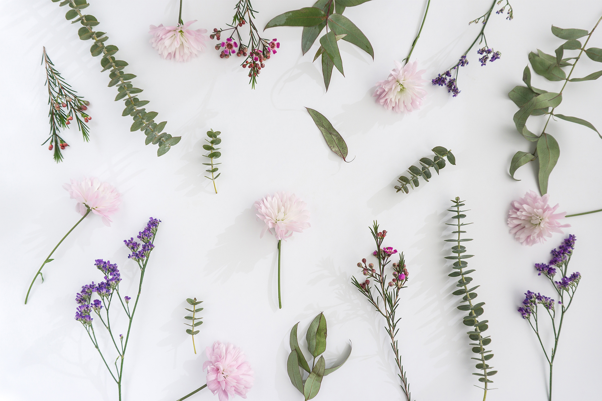 Kwiaty na ścianach – aranżacje domowe, które Cię zaskoczą!