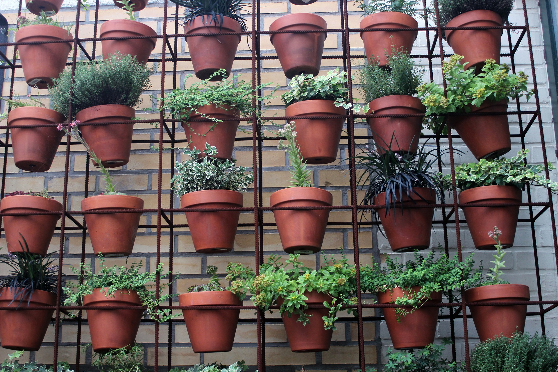 Zielona ściana=doniczki do powieszenia?! Przekonaj się, ile NIE wiesz o roślinnych dekoracjach!